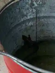 川田八幡神社の動物