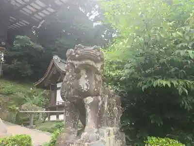 宇治上神社の狛犬