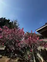 武蔵第六天神社の自然