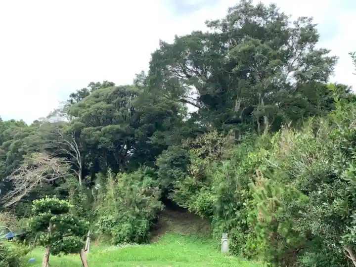 専福寺のその他建物