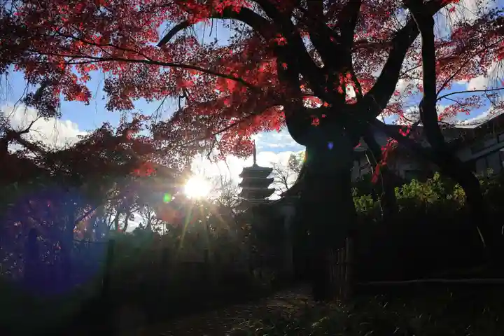本土寺(千葉県)