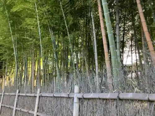 清水寺(東京都)