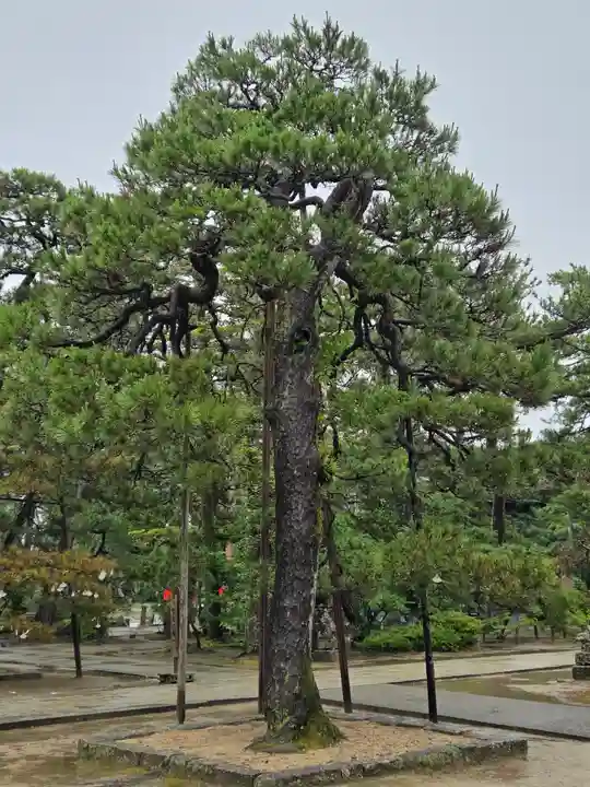 智恩寺(京都府)
