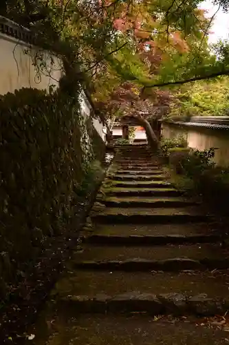 勝持寺（花の寺）(京都府)