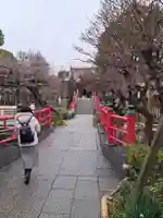 亀戸天神社(東京都)