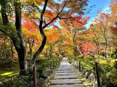 宝筐院のその他建物