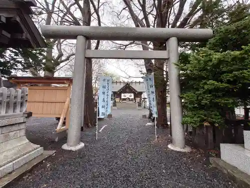 札幌諏訪神社の鳥居