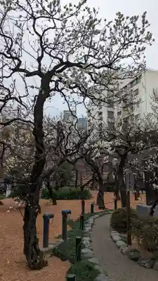 湯島天満宮(東京都)