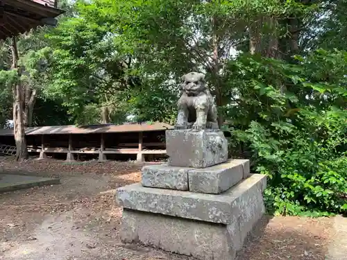 八坂神社の狛犬