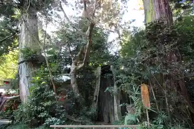 香取神宮(千葉県)