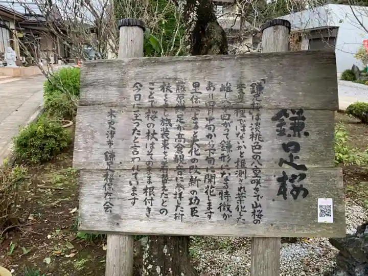 栖安寺のその他建物