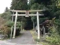 金桜神社の鳥居