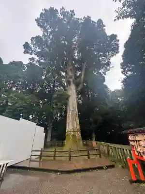 霧島神宮(鹿児島県)