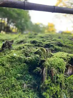 平泉寺白山神社(福井県)