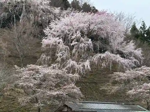 𠮷水神社（吉水神社）(奈良県)