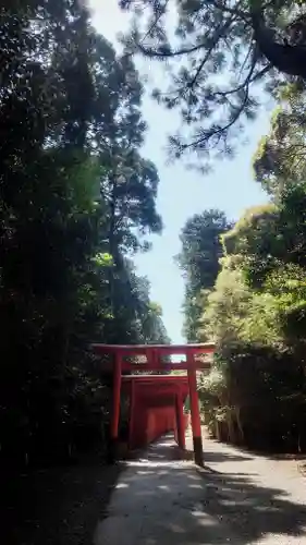 南宮稲荷大明神(岐阜県)