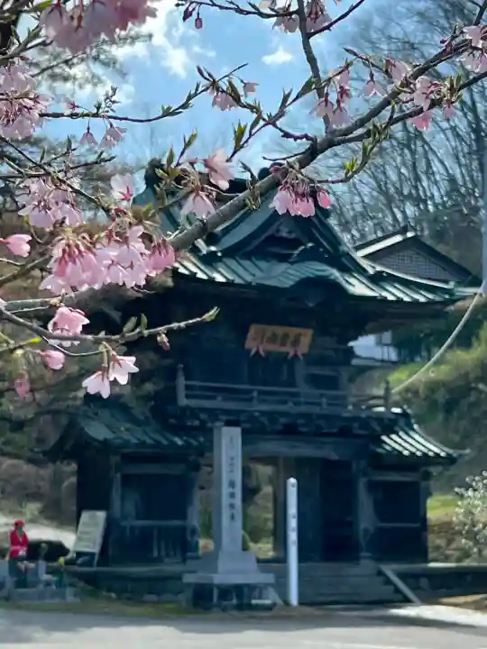 陽林寺の{uncategorized: "未分類", other: "その他", undefined: "問題あり", building: "その他建物", grave: "お墓", sacred_gate: "鳥居", guardian: "狛犬", statue: "像", buddha: "仏像", history: "歴史", nature: "自然", garden: "庭園", animal: "動物", pagoda: "塔", temizu: "手水舎", mountain_gate: "山門・神門", sanctuary: "本殿・本堂", subordinate: "末社・摂社", art: "芸術", scenery: "景色", jizo: "地蔵", ema: "絵馬", goshuin: "御朱印", omikuji: "おみくじ", items: "授与品その他", amulet: "お守り", goshuincho: "御朱印帳", eats: "食事", festival: "お祭り", votive_dance: "神楽", shichigosan: "七五三参", wedding: "結婚式", experience: "体験その他", initially: "初詣", around: "周辺", anti_infection: "感染症対策"}