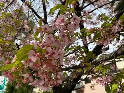 櫻木神社(千葉県)