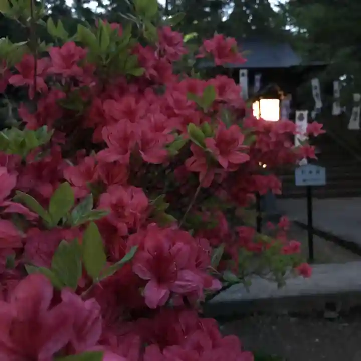 土津神社|こどもと出世の神さまの自然