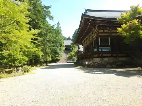 神護寺の本殿・本堂