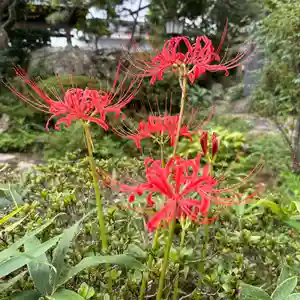 豊景神社(福島県)(2023年09月24日(日) 12時32分06秒投稿)