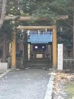 北海道神宮の鳥居