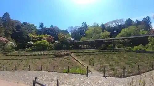 本土寺の景色