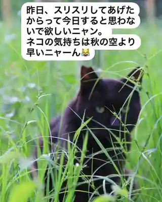 専念寺(大阪府)