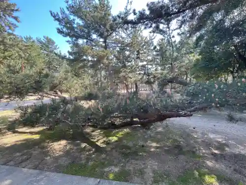 石清水神社(香川県)