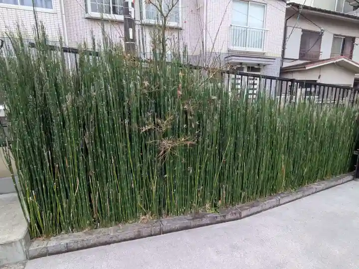 浄輪寺(東京都)
