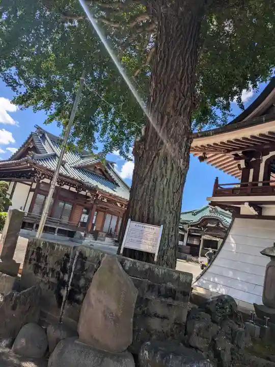 正覚寺(東京都)