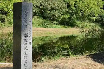 郡殿の池弁財天社(新潟県)