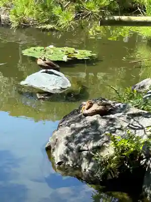 西新井大師総持寺(東京都)