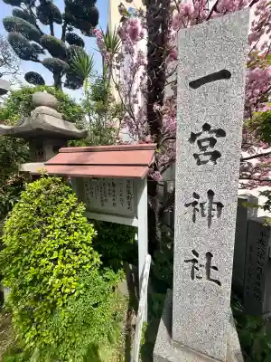 一宮神社の{uncategorized: "未分類", other: "その他", undefined: "問題あり", building: "その他建物", grave: "お墓", sacred_gate: "鳥居", guardian: "狛犬", statue: "像", buddha: "仏像", history: "歴史", nature: "自然", garden: "庭園", animal: "動物", pagoda: "塔", temizu: "手水舎", mountain_gate: "山門・神門", sanctuary: "本殿・本堂", subordinate: "末社・摂社", art: "芸術", scenery: "景色", jizo: "地蔵", ema: "絵馬", goshuin: "御朱印", omikuji: "おみくじ", items: "授与品その他", amulet: "お守り", goshuincho: "御朱印帳", eats: "食事", festival: "お祭り", votive_dance: "神楽", shichigosan: "七五三参", wedding: "結婚式", experience: "体験その他", initially: "初詣", around: "周辺", anti_infection: "感染症対策"}