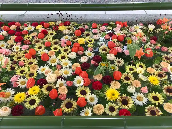 住吉神社の手水舎