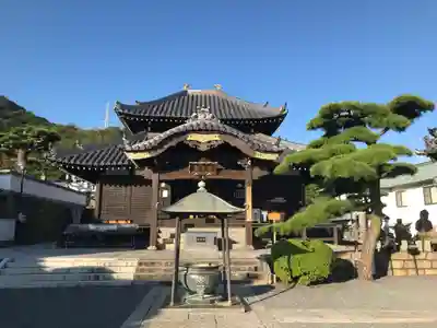 郷照寺の本殿・本堂