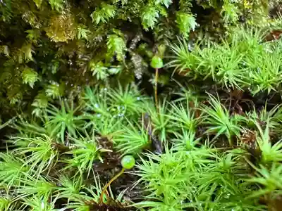 杉本寺(神奈川県)