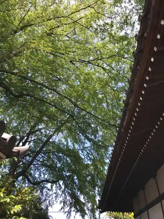 宝珠山 観泉寺の庭園