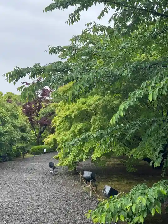 東寺(教王護国寺)(京都府)