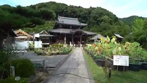 三室戸寺のその他建物
