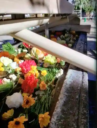 鳩森八幡神社の手水舎