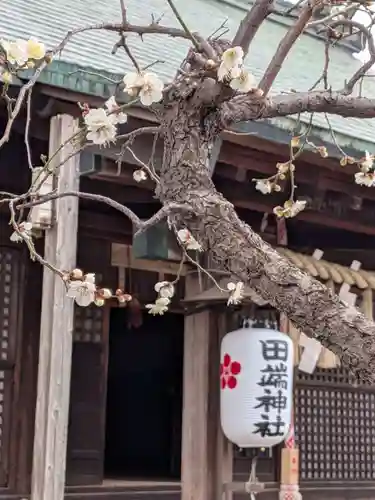 田端神社(東京都)