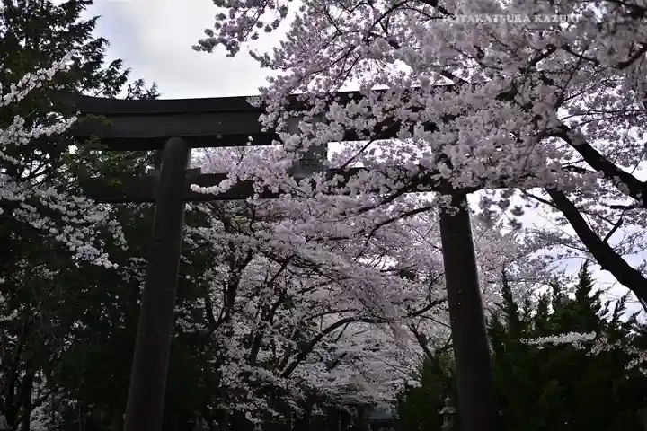 冨士御室浅間神社(山梨県)