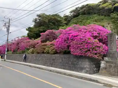 安養院　(田代寺）(神奈川県)