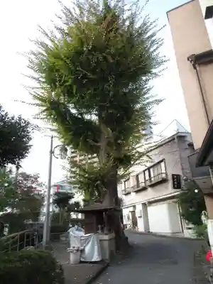 正行寺(栃木県)