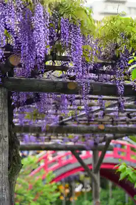 亀戸天神社(東京都)