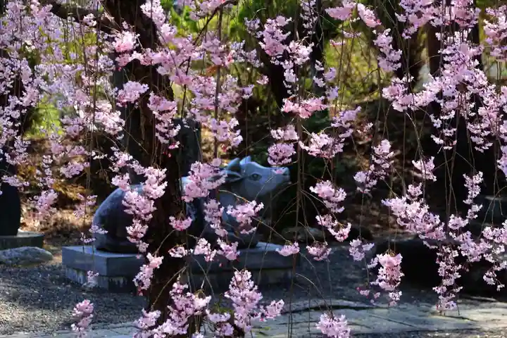 豊景神社の自然