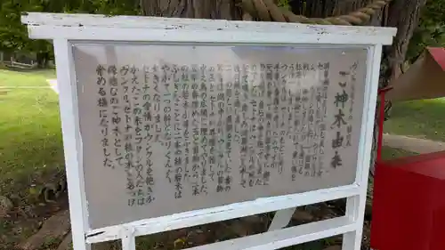 神社（洞爺湖中の島）の歴史