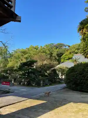 伊勢の国 四天王寺のその他建物