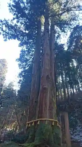 御岩神社の自然